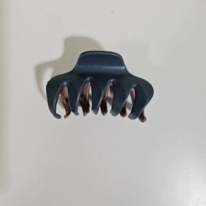 Everyday claw clips